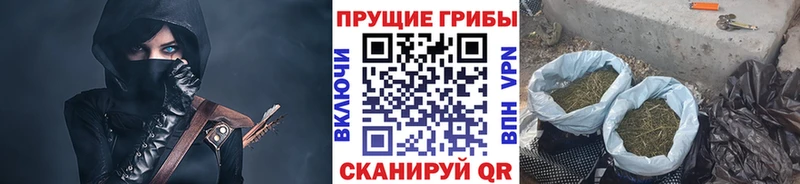 Галлюциногенные грибы прущие грибы  гидра ссылки  Серов  купить  сайты 