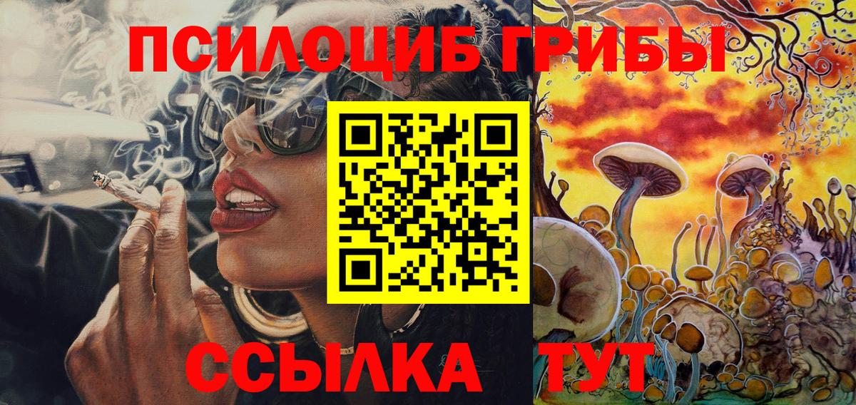 Псилоцибиновые грибы прущие грибы  где найти наркотики  Серов  Вход с VPN  Галлюциногенные грибы Cubensis 