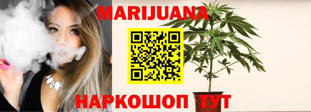 МАРИХУАНА семена  Каннабис планчик  Серов  Вход с VPN  Конопля SATIVA & INDICA 